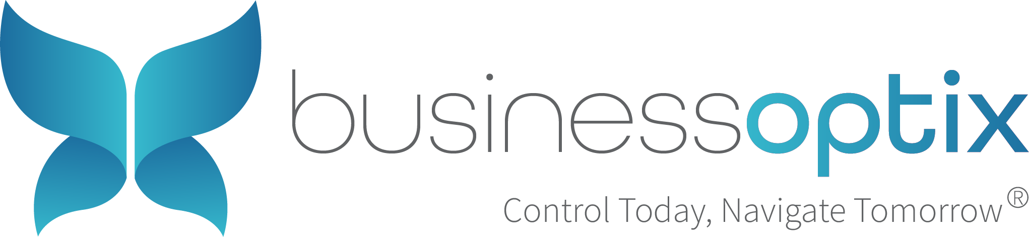 Business Optix logo.png