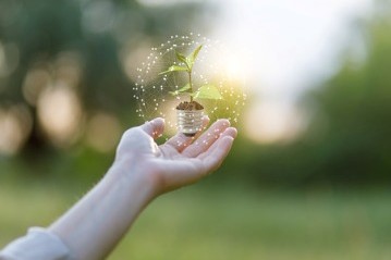 sustainability-electricity-green-concept