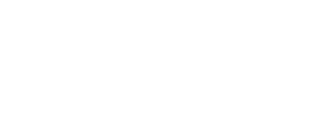 Capgemini_partner_logo