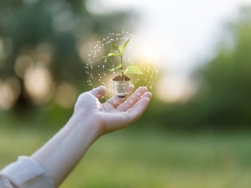sustainability-electricity-green-concept